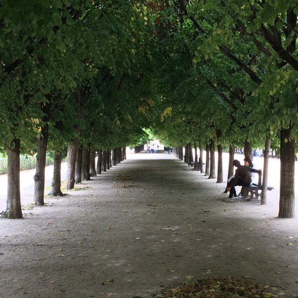 jardin du palais royal